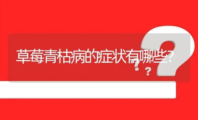 草莓青枯病的症状有哪些? | 养殖问题解答