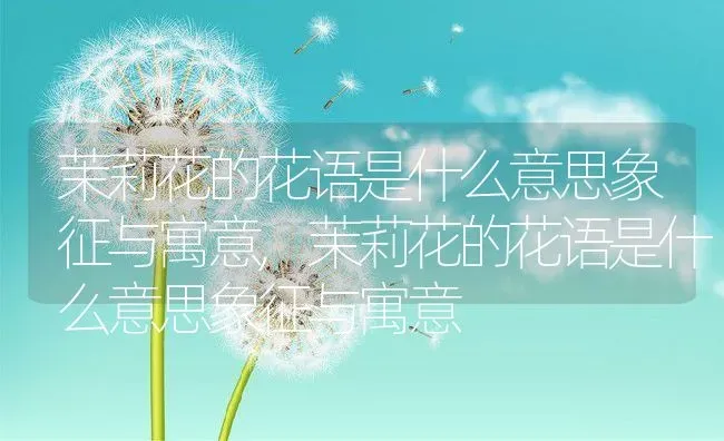 茉莉花的花语是什么意思象征与寓意,茉莉花的花语是什么意思象征与寓意 | 养殖常见问题