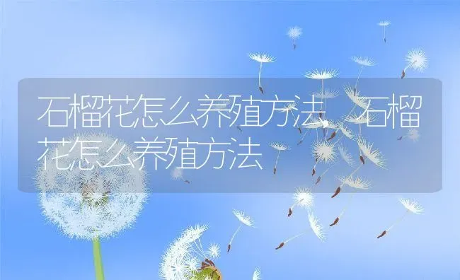 海棠花语象征与寓意,海棠的花语是什么？ | 养殖常见问题