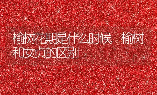 榆树花期是什么时候,榆树和女贞的区别 | 养殖常见问题