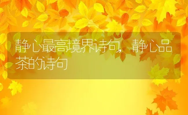 vivo系列档次排名,s7vivo属于什么水平手机？ | 养殖常见问题