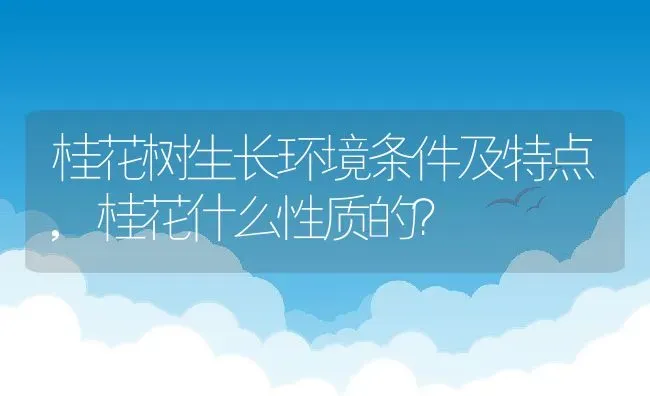 桂花树生长环境条件及特点,桂花什么性质的？ | 养殖常见问题