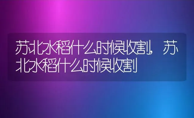 苏北水稻什么时候收割,苏北水稻什么时候收割 | 养殖常见问题