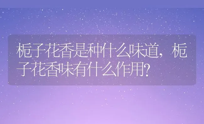 栀子花香是种什么味道,栀子花香味有什么作用？ | 养殖常见问题