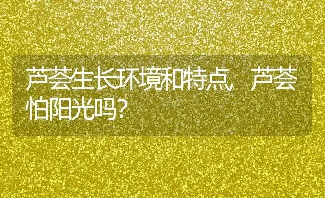 芦荟生长环境和特点,芦荟怕阳光吗？ | 养殖常见问题