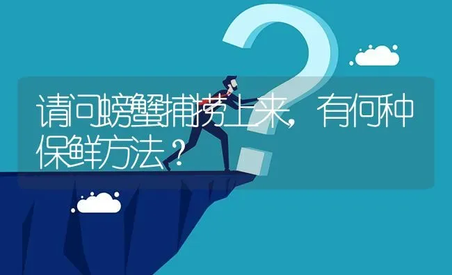 请问螃蟹捕捞上来,有何种保鲜方法? | 养殖问题解答