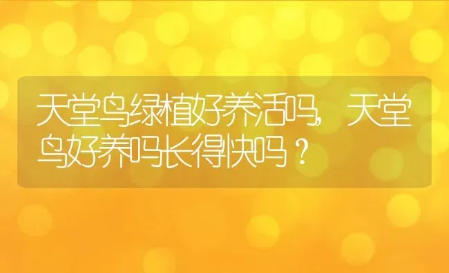 天堂鸟绿植好养活吗,天堂鸟好养吗长得快吗？ | 养殖常见问题