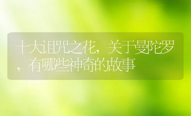 竹苗怎么栽种方法移栽竹子的种植方法,竹苗怎么栽种方法移栽竹子的种植方法 | 养殖常见问题