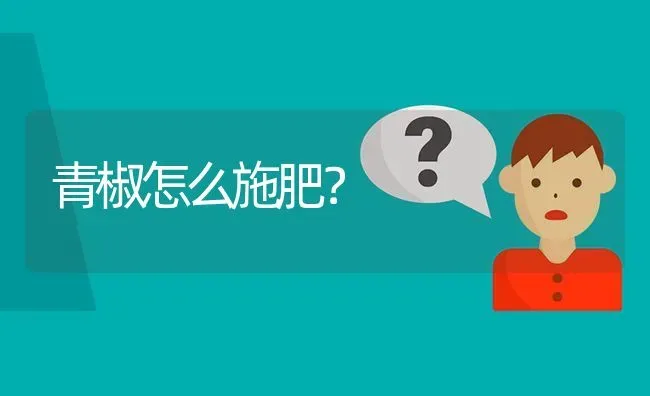 青椒怎么施肥? | 养殖问题解答