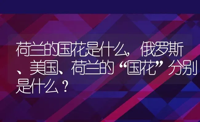 荷兰的国花是什么,俄罗斯、美国、荷兰的“国花”分别是什么？ | 养殖常见问题