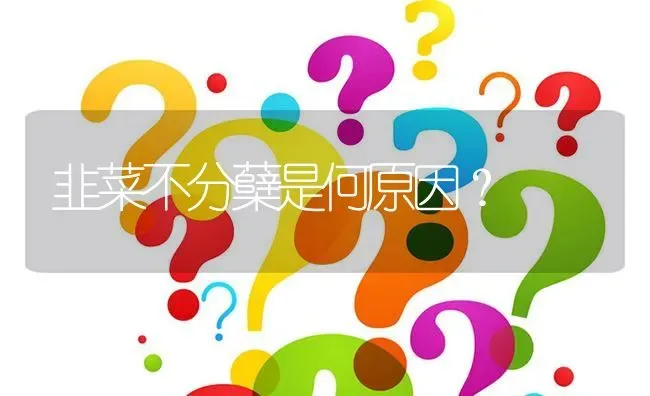 韭菜不分蘖是何原因? | 养殖问题解答