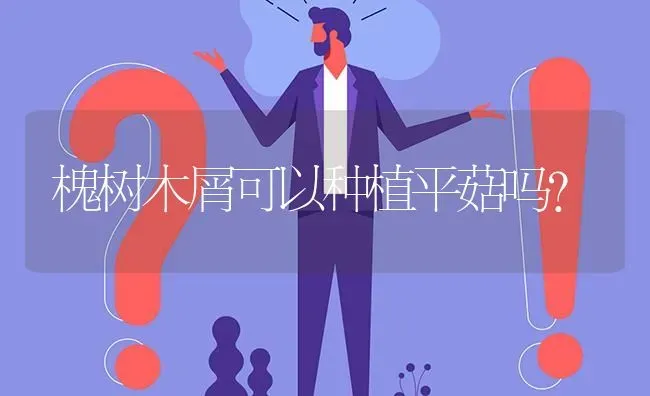 槐树木屑可以种植平菇吗? | 养殖问题解答