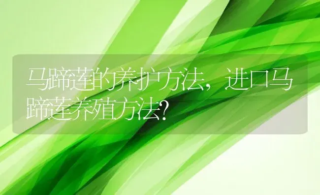 马蹄莲的养护方法,进口马蹄莲养殖方法？ | 养殖常见问题