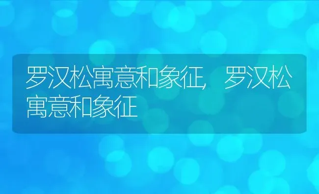 罗汉松寓意和象征,罗汉松寓意和象征 | 养殖常见问题