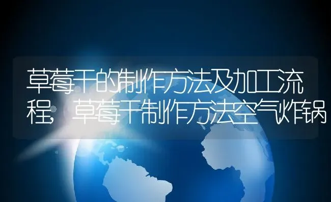 草莓干的制作方法及加工流程,草莓干制作方法空气炸锅 | 养殖常见问题