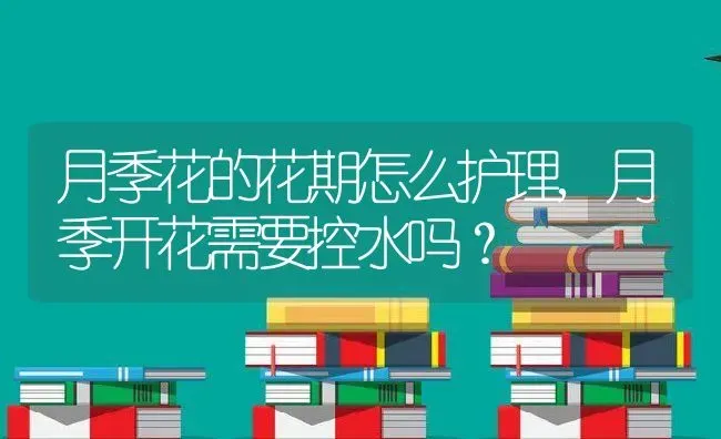 月季花的花期怎么护理,月季开花需要控水吗？ | 养殖常见问题