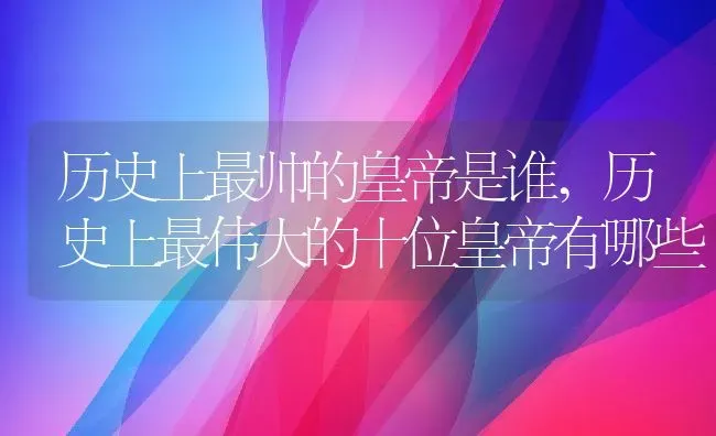 历史上最帅的皇帝是谁,历史上最伟大的十位皇帝有哪些 | 养殖常见问题