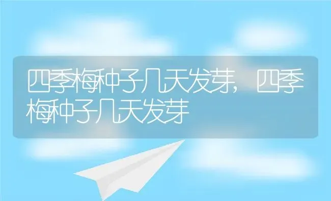 四季梅种子几天发芽,四季梅种子几天发芽 | 养殖常见问题