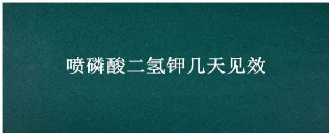 喷磷酸二氢钾几天见效 | 生活常识