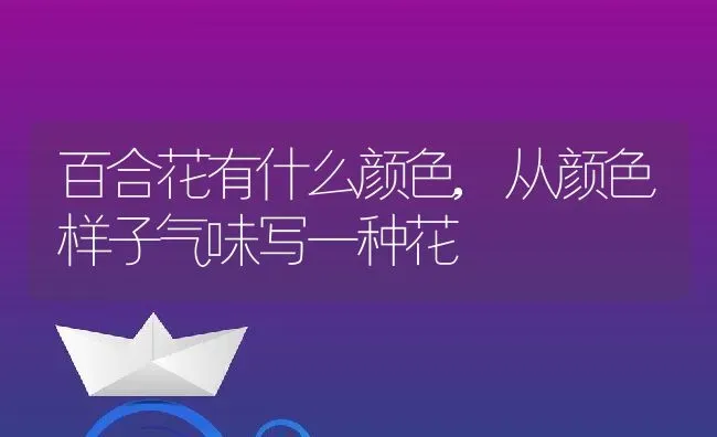 百合花有什么颜色,从颜色样子气味写一种花 | 养殖常见问题