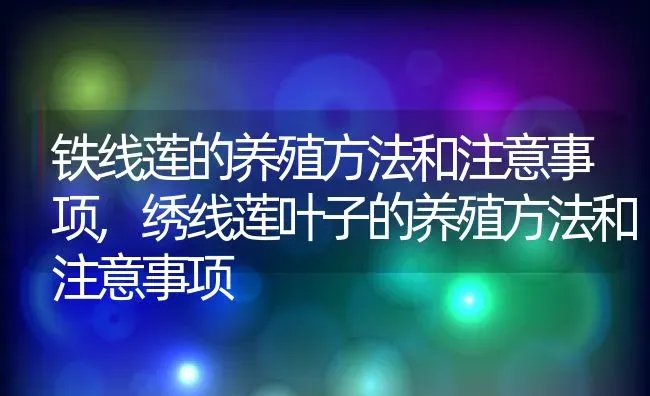 铁线莲的养殖方法和注意事项,绣线莲叶子的养殖方法和注意事项 | 养殖常见问题