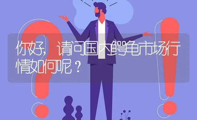 你好,请问国内鳄龟市场行情如何呢? | 养殖问题解答