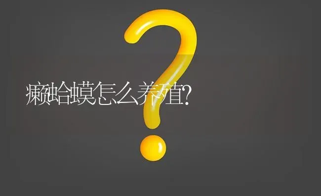 癞蛤蟆怎么养殖? | 养殖问题解答