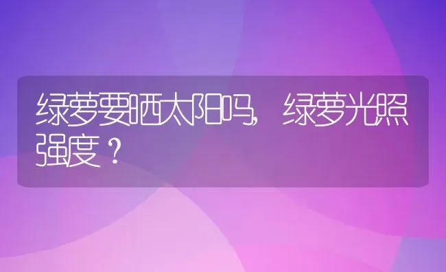 绿萝要晒太阳吗,绿萝光照强度？ | 养殖常见问题