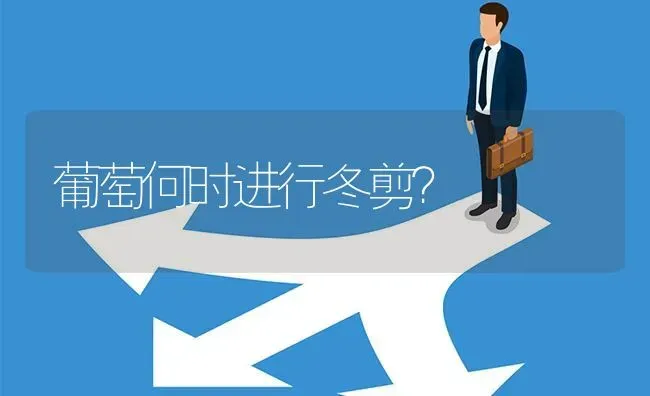 葡萄何时进行冬剪? | 养殖问题解答