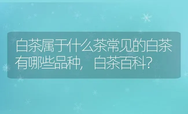 白茶属于什么茶常见的白茶有哪些品种,白茶百科？ | 养殖常见问题