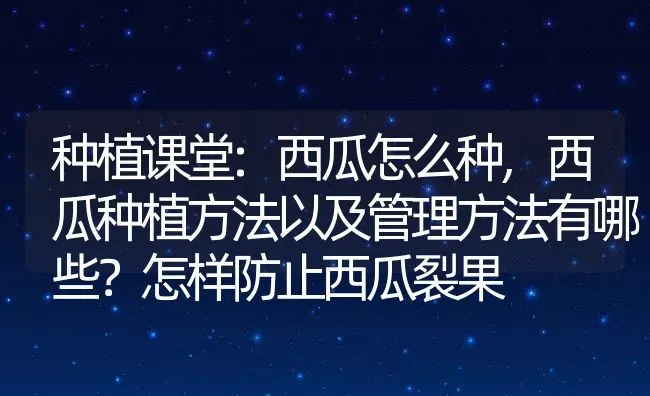 种植课堂:西瓜怎么种,西瓜种植方法以及管理方法有哪些？怎样防止西瓜裂果 | 养殖常见问题