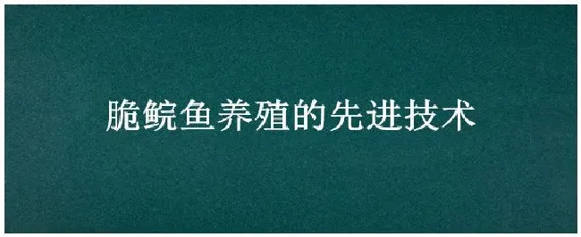 脆鲩鱼养殖的先进技术 | 三农答疑