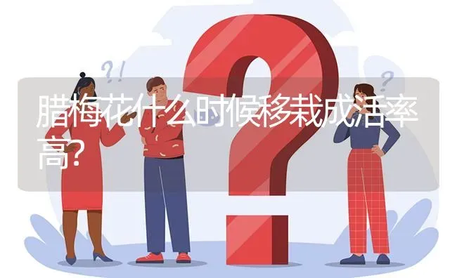 腊梅花什么时候移栽成活率高? | 养殖问题解答