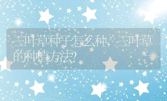三叶草种子怎么种,三叶草的种植方法？ | 养殖常见问题