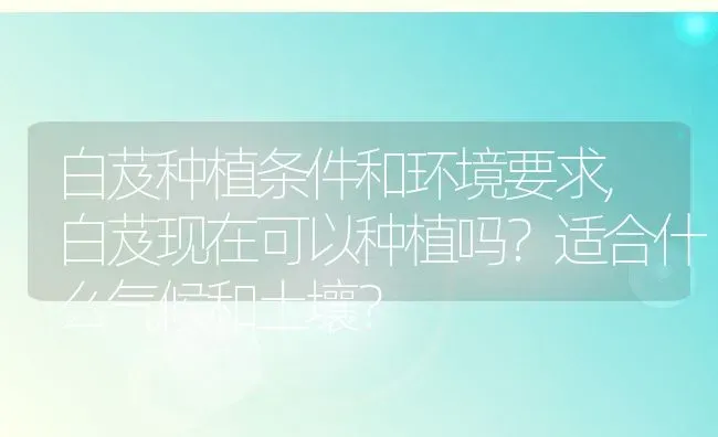 白芨种植条件和环境要求,白芨现在可以种植吗？适合什么气候和土壤？ | 养殖常见问题
