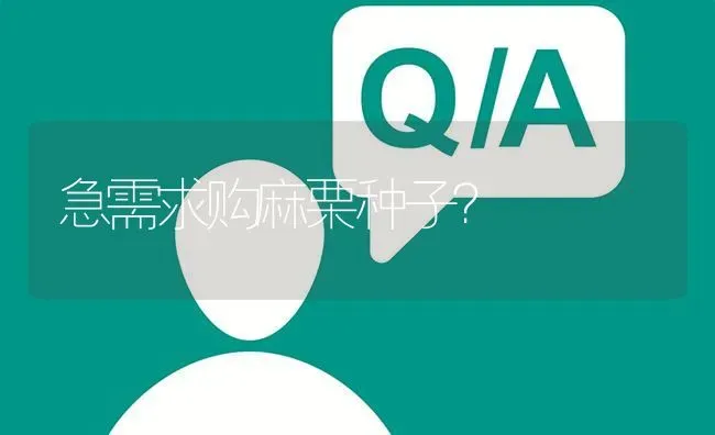 急需求购麻栗种子? | 养殖问题解答