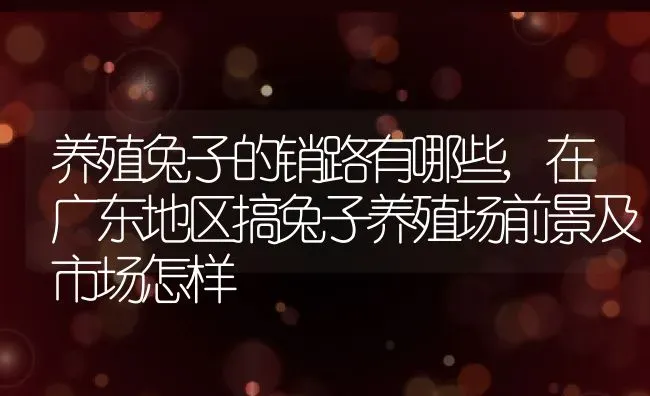 养殖兔子的销路有哪些,在广东地区搞兔子养殖场前景及市场怎样 | 养殖常见问题