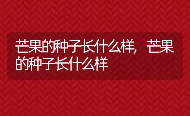 芒果的种子长什么样,芒果的种子长什么样 | 养殖常见问题