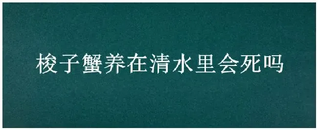 梭子蟹养在清水里会死吗 | 生活常识