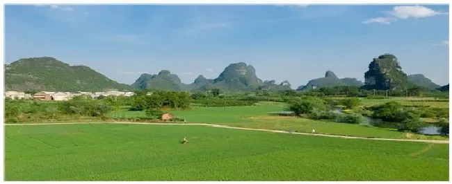 打了封闭药几天可以浇地 | 农业问题