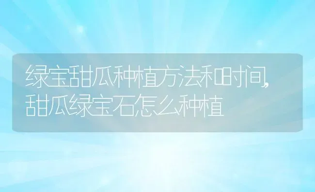绿宝甜瓜种植方法和时间,甜瓜绿宝石怎么种植 | 养殖常见问题