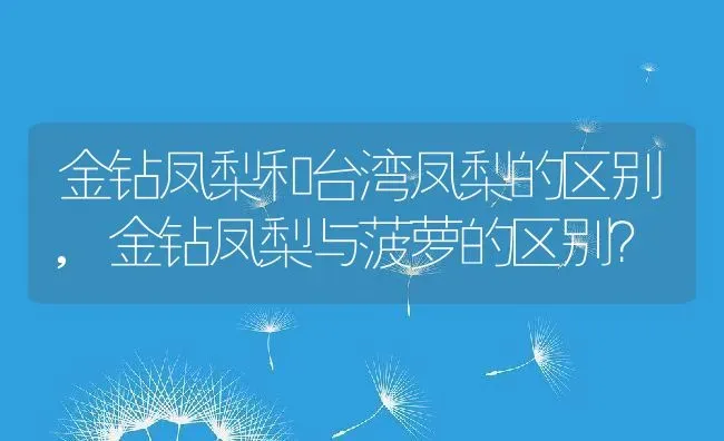 金钻凤梨和台湾凤梨的区别,金钻凤梨与菠萝的区别？ | 养殖常见问题