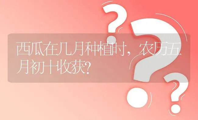 西瓜在几月种植时,农历五月初十收获? | 养殖问题解答