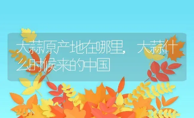 大蒜原产地在哪里,大蒜什么时候来的中国 | 养殖常见问题