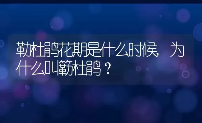 勒杜鹃花期是什么时候,为什么叫簕杜鹃？ | 养殖常见问题