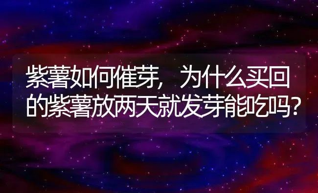 紫薯如何催芽,为什么买回的紫薯放两天就发芽能吃吗？ | 养殖常见问题