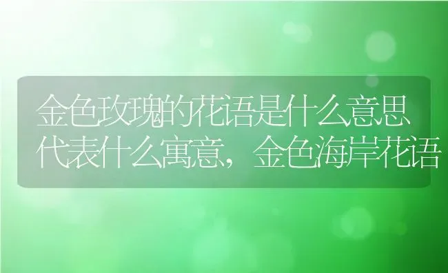 金色玫瑰的花语是什么意思代表什么寓意,金色海岸花语 | 养殖常见问题