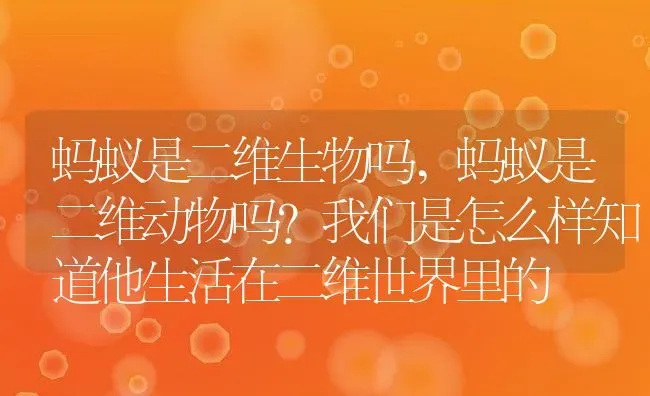 蚂蚁是二维生物吗,蚂蚁是二维动物吗？我们是怎么样知道他生活在二维世界里的 | 养殖常见问题