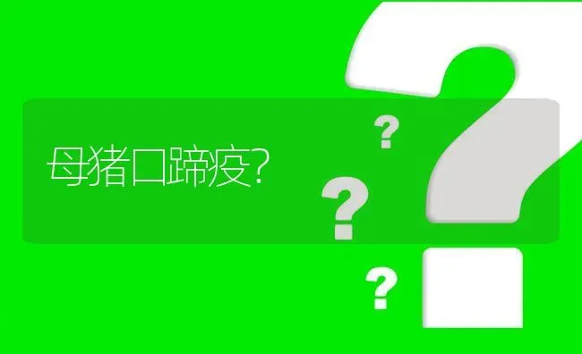母猪口蹄疫? | 养殖问题解答