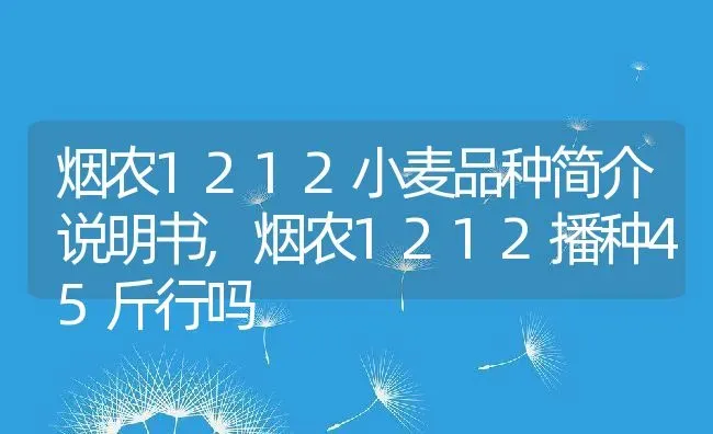 烟农1212小麦品种简介说明书,烟农1212播种45斤行吗 | 养殖常见问题